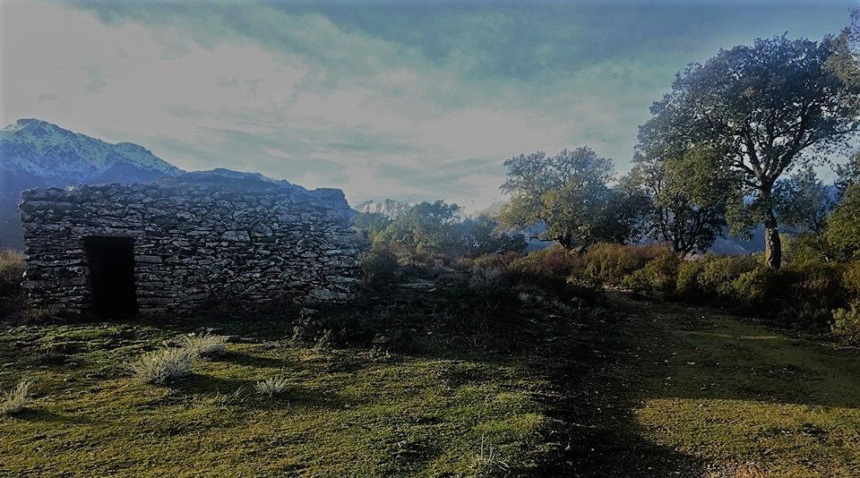 Auberge Casa Mathea Poggio-di-Venaco Buitenkant foto