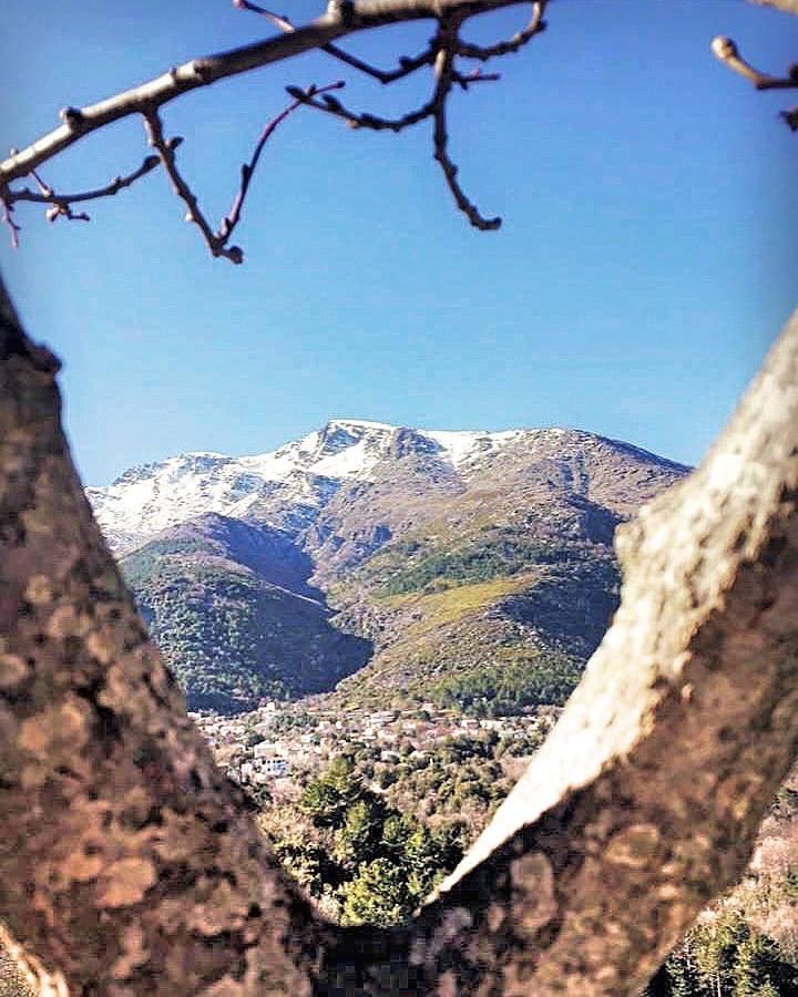 Auberge Casa Mathea Poggio-di-Venaco Buitenkant foto